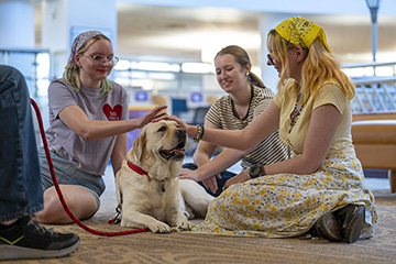 Three CMU students sit on the floor petting a dog in the library