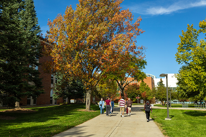 A group of people walking down a sidewalk past a large tree