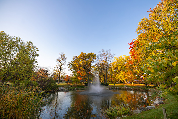 Fall colors on trees surrounding the pond in CMU's Fabiano Botanical Garden