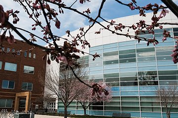 Park Library in the spring