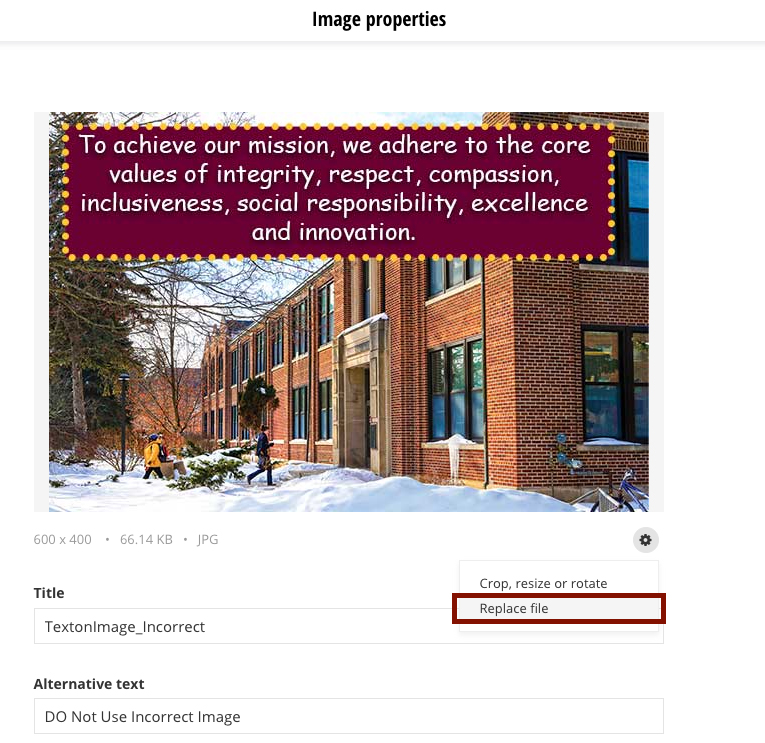 Image auto replace process step 4