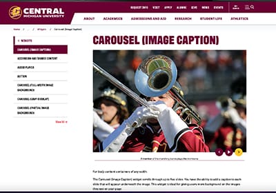 A screenshot of a webpage in Sitefinity showing the image caption carousel widget.