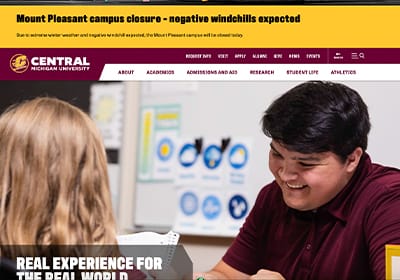 A screenshot of a webpage in Sitefinity showing the inline alert widget.