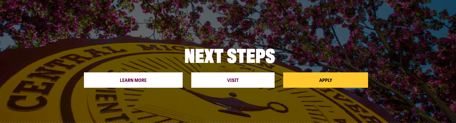 Next Steps Callout Image of the Next Steps Callout Widget with three buttons