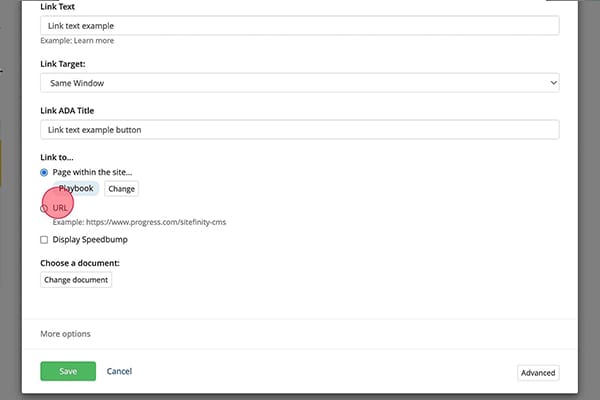 A screenshot showing a red circle around the URL button for linking to a page in the sidebar callout widget.