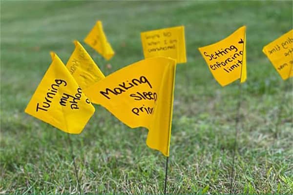 Several yellow flags stuck in the grass with mental health priorities written on them.