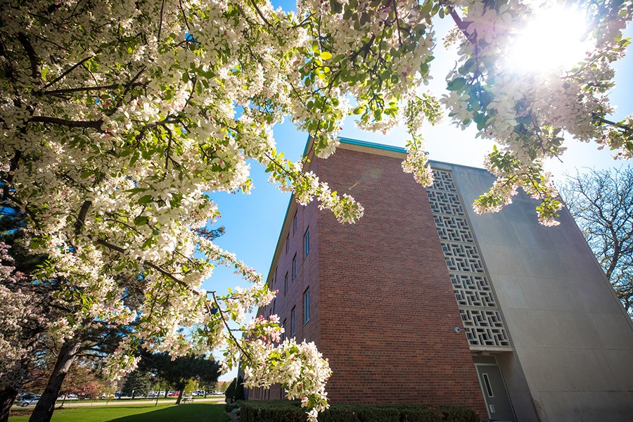 Spring blooms in front of a residence hall