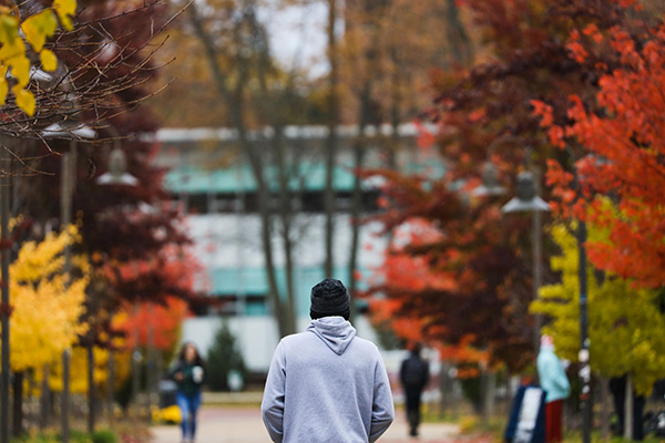 Photo of a male student taken from the back as he walks campus