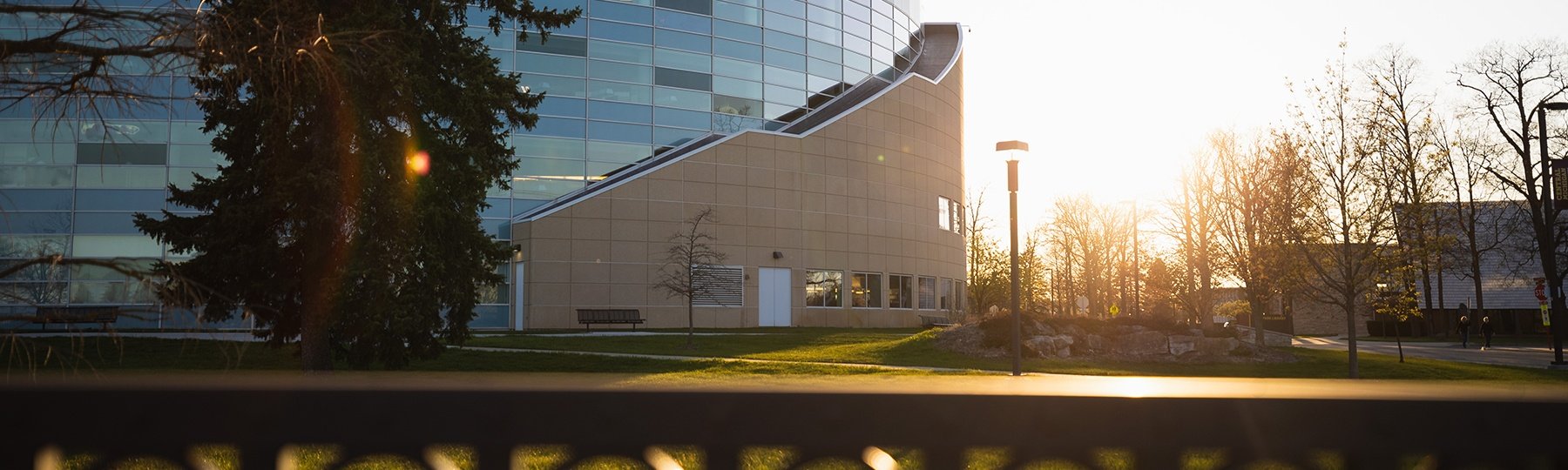Park Library at daybreak