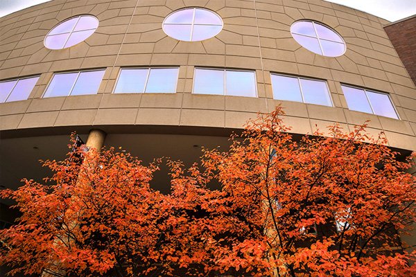 Park Library in the fall