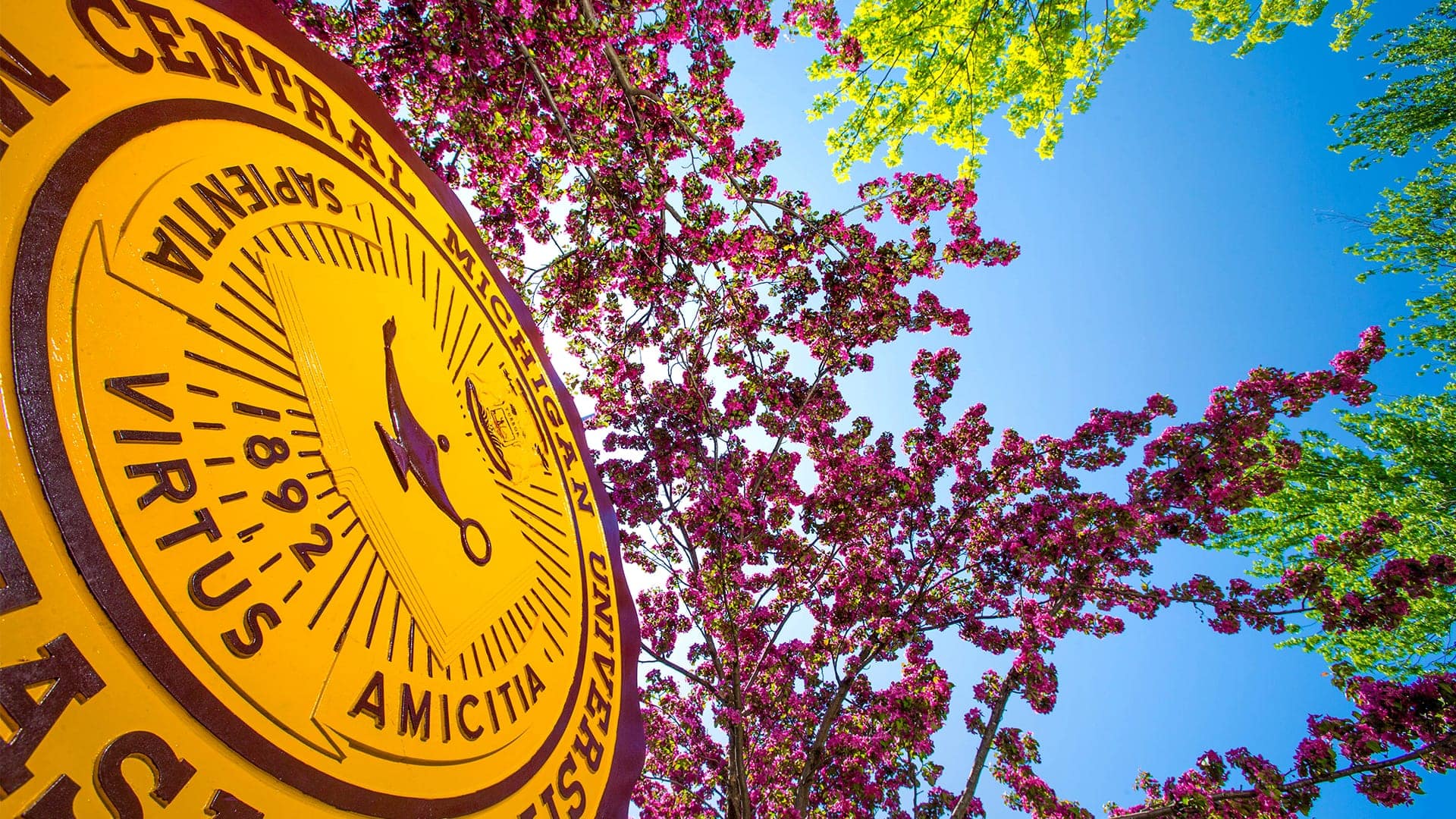 Central Michigan University seal picture taken from below