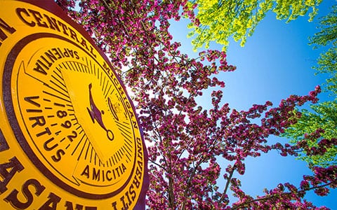 Central Michigan University seal picture taken from below