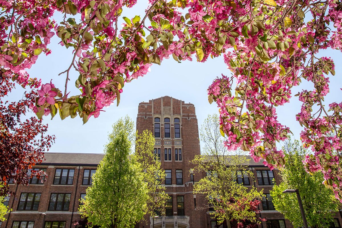 CMU spring campus scenic of Warriner Hall with pink blossoms