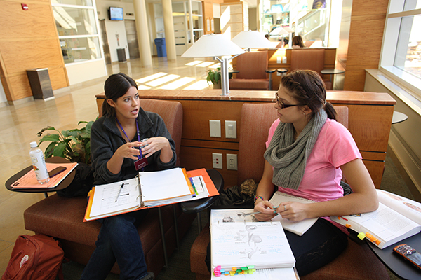 Two students discussing classwork in the lobby of building