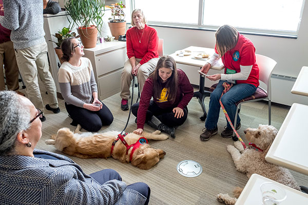 students and volunteers sitting with service/therapy dogs in the library