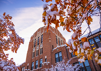 A view of Warriner Hall behind snow-covered tree leaves.