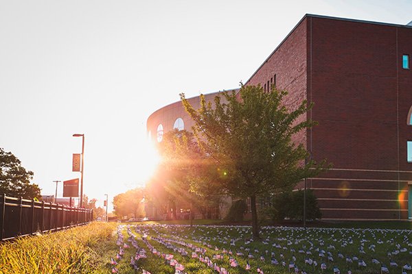 Park library with small American flags in the ground around it.