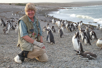 A woman with short dark blonde hair wearing a khaki vest over a teal polo shirt crouches on a rock filled ocean beach with dozens of penguins around her.