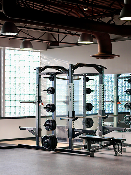 Bench and Squat Equipment