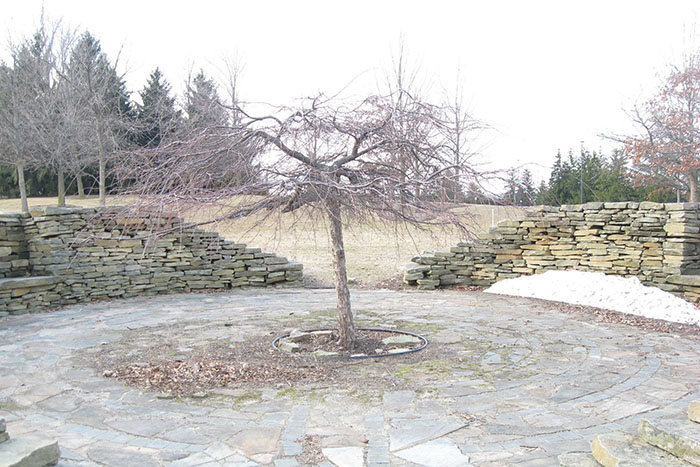 Veterans Peace Grove Susan Wink Sanctuary